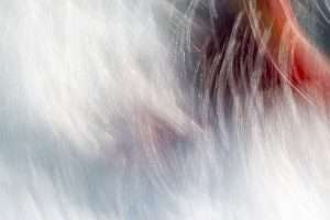 Abstract Whitewater Kayaking